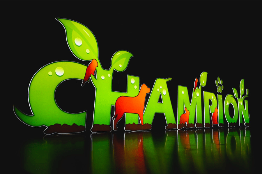 Temperatura barwowa światła a odbiór marki